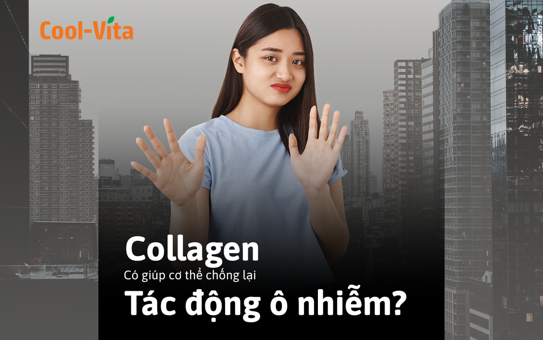 Collagen Có Giúp Cơ Thể Chống Lại Tác Động Ô Nhiễm Không?