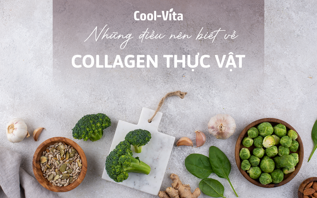 Những Điều Nên Biết Về Collagen Thực Vật