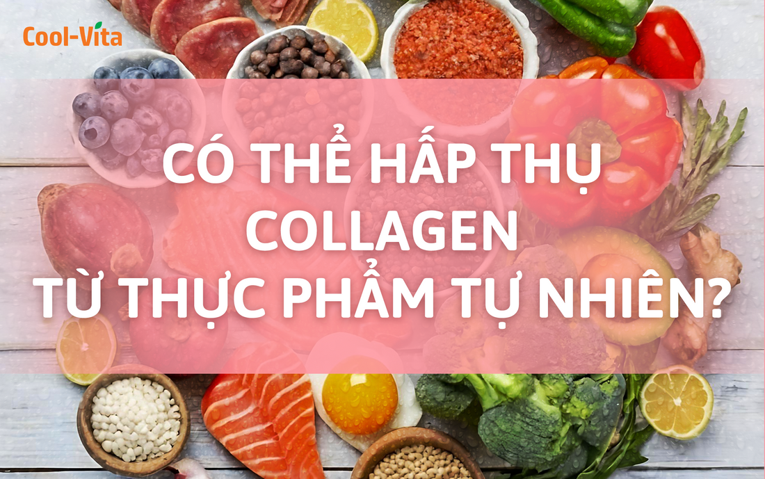 Có Thể Hấp Thụ Collagen Từ Thực Phẩm Tự Nhiên Không?