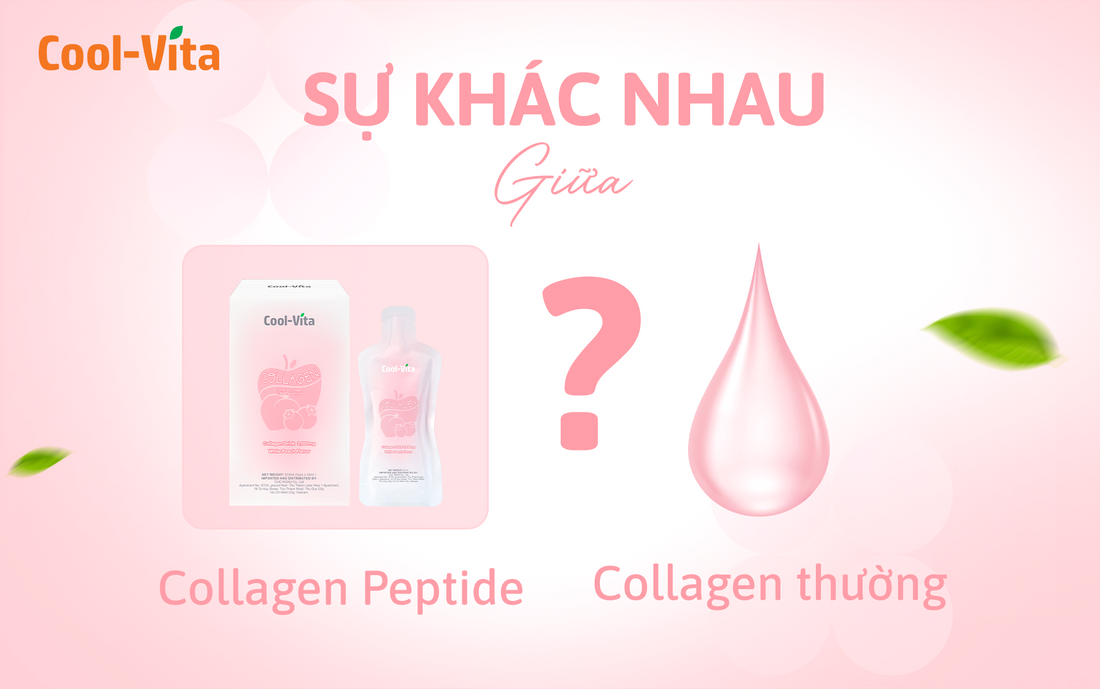 Sự Khác Biệt Giữa Collagen Peptide Và Collagen Thường