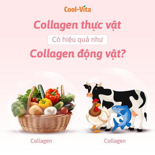 Collagen Thực Vật So Với Collagen Động Vật: Hiệu Quả Ra Sao?